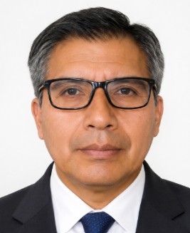 MILLÁN VIVAS LUIS ENRIQUE
